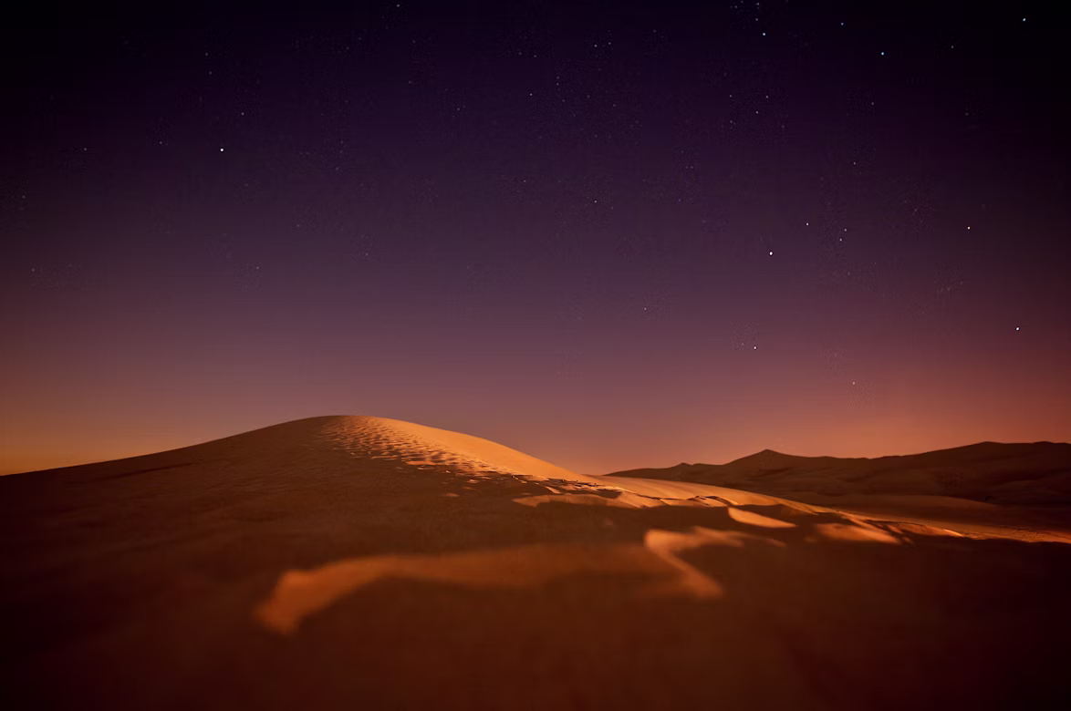 Anubis bajo un cielo cálido